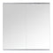 Yezi Workout Mirror Home Gym Mirror 2 Pcs Tempered Glass Full Length Wall Mount-2050059009213468673