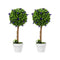 Lambu Artificial Plants Faux Lavender Topiary Set of 2 for Front Door Green-2109799601027092482
