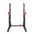 Centra Adjustable Squat Rack Barbell Stand Press Dip Station Home Gym 250KG-2072893534255583233