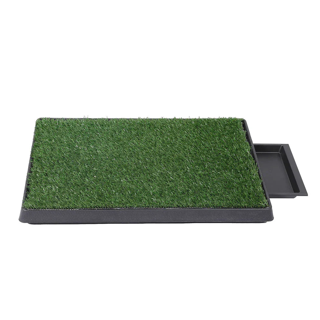 PaWz Indoor Dog Pet Grass Potty Training-2006732965022928897