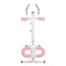 Centra Ab Machine Abdominal Exerciser Knee Protection Foldable Home Gym Cruncher-2050056789289996289