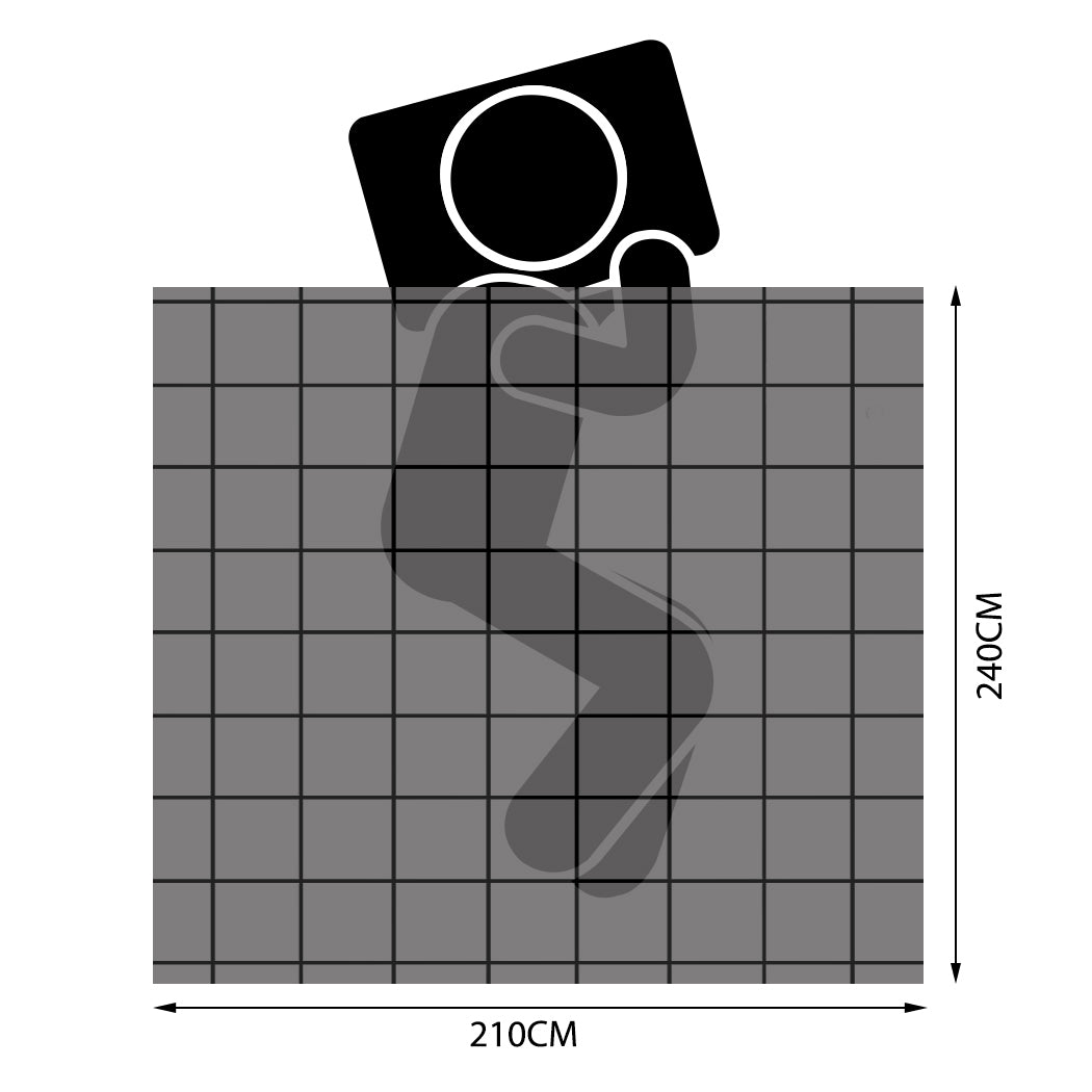 DreamZ 500GSM Goose Quilt Down Feather King-1864183338617671682