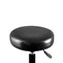 Levede Salon Stool Swivel Bar Stools Black with Black Stand-2018816731262357507