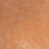 PaWz Pet Car Seat Travel Safety Carrier Orange-2018816732663255043