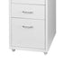 Levede 5 Drawer Office Cabinet Drawers White-1973193876470632451