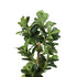 Lambu 180cm Artificial Plants Tree Room-2025742034027024387