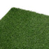 Pawz Dog Potty Tray with Grass Mat Washable Puppy Portable Training Toilet-2050059018050867203