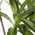 Lambu Artificial Dracaena Tree Lifelike Fake Leaves Artificial Plants Indoors-2050056792347643907