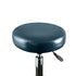 Levede 2x Barstool Swivel Salon Hairdressing Teal-1864184633273487363