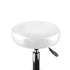 2x Levede Swivel Salon Barstool Hairdressing White-2018816797721104387