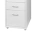 Levede 5 Drawer Office Cabinet Drawers White-2006733174390001667