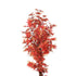 Lambu Artificial Plants Tree Garden-2029387243629711364