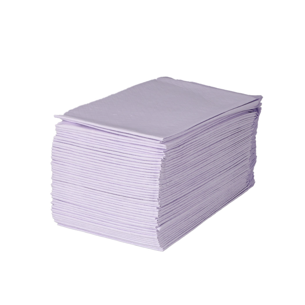 PaWz 100x Pet Dog Toilet Training Pad-1864184552096927748