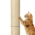 Pawz Cat Scratcher Scratching Post-2029387218820403204