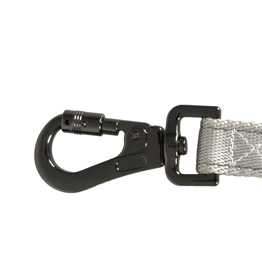 PaWz LED Dog Leash Lead Walking Rope Black-1864184546673692677