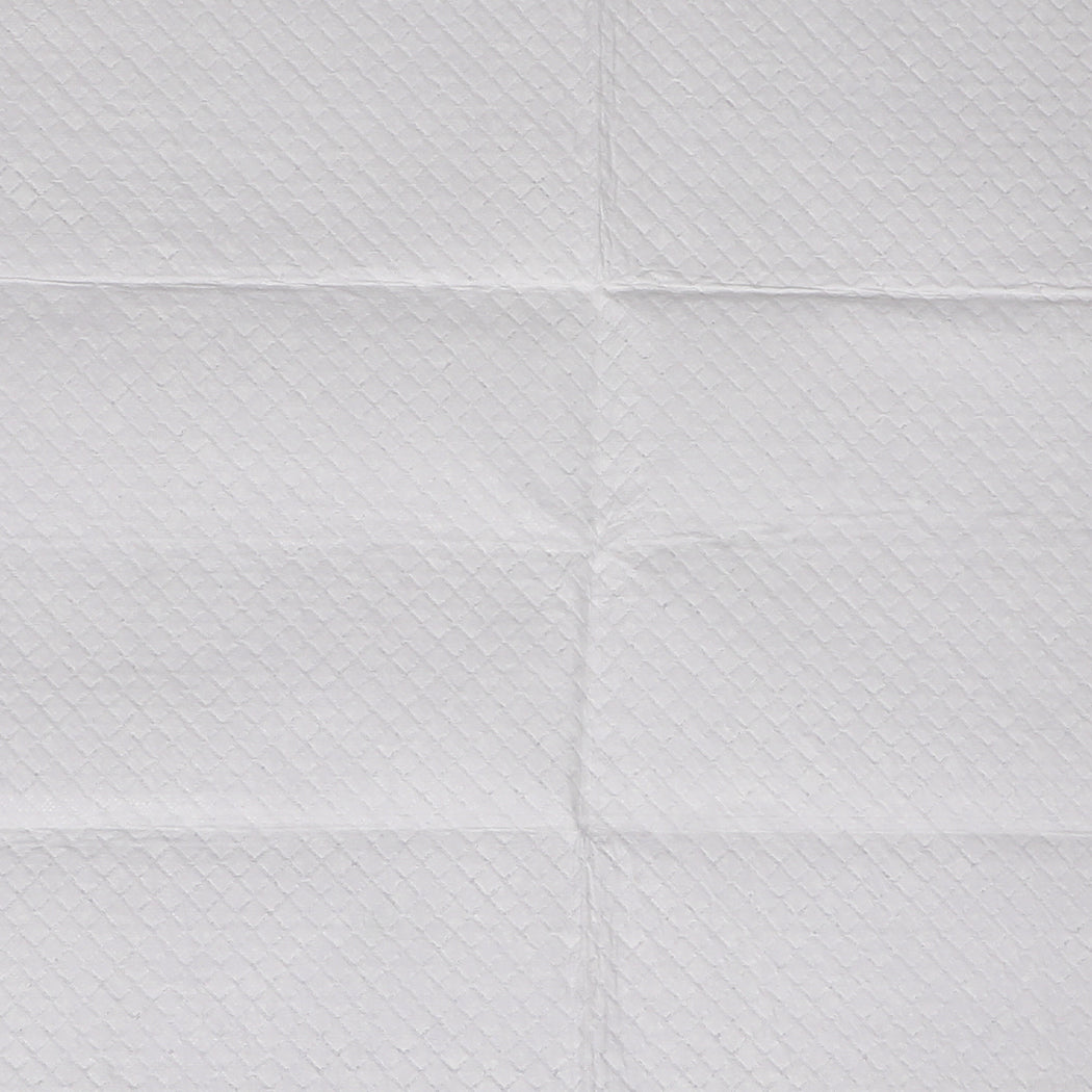 PaWz 100x Pet Dog Toilet Training Pad-2065254323645976581