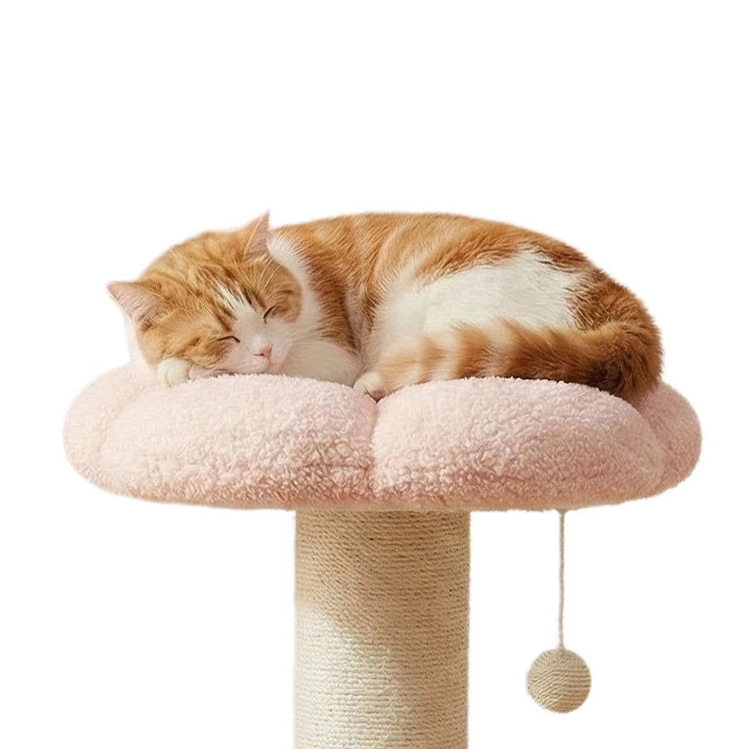 Pawz Cat Scratching Post Flower 61.5cm Cat Tree Tower-2065254675317395461