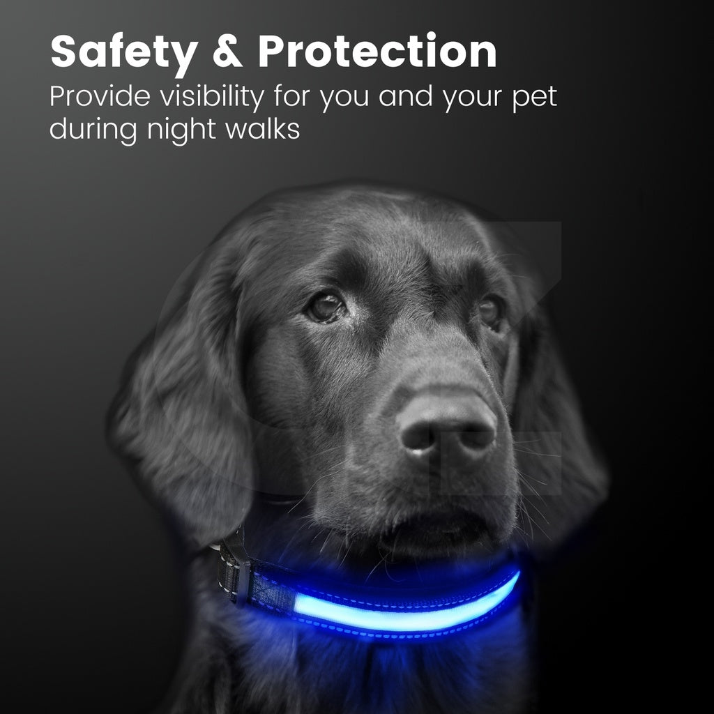 Solar USB Rechargable LED Dog Collar (L Red)