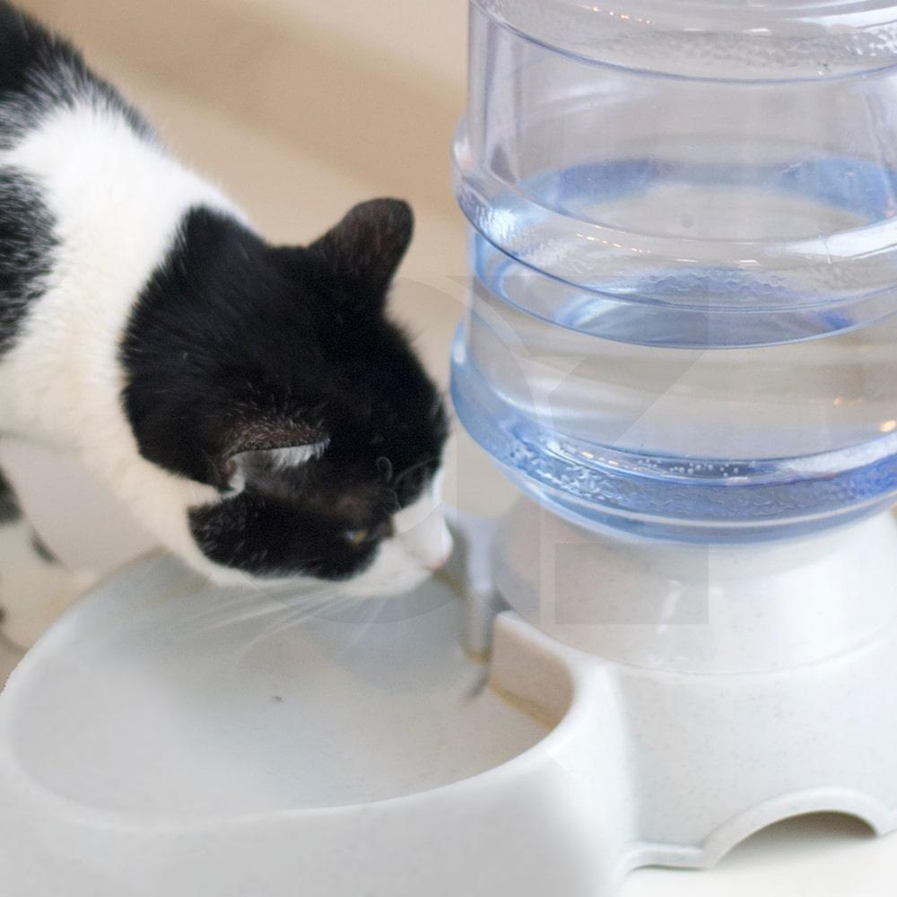 Automatic Water Feeder (Grey)