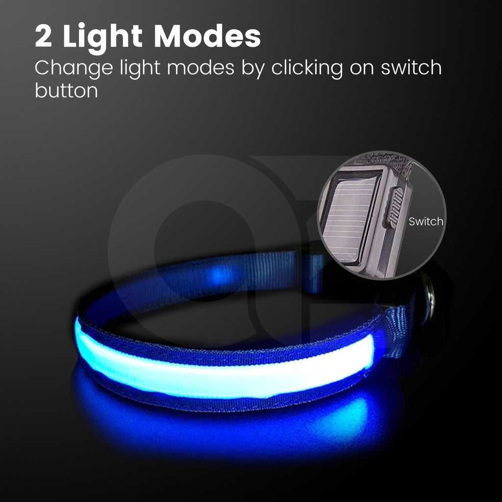 Solar USB Rechargable LED Dog Collar (M Blue)