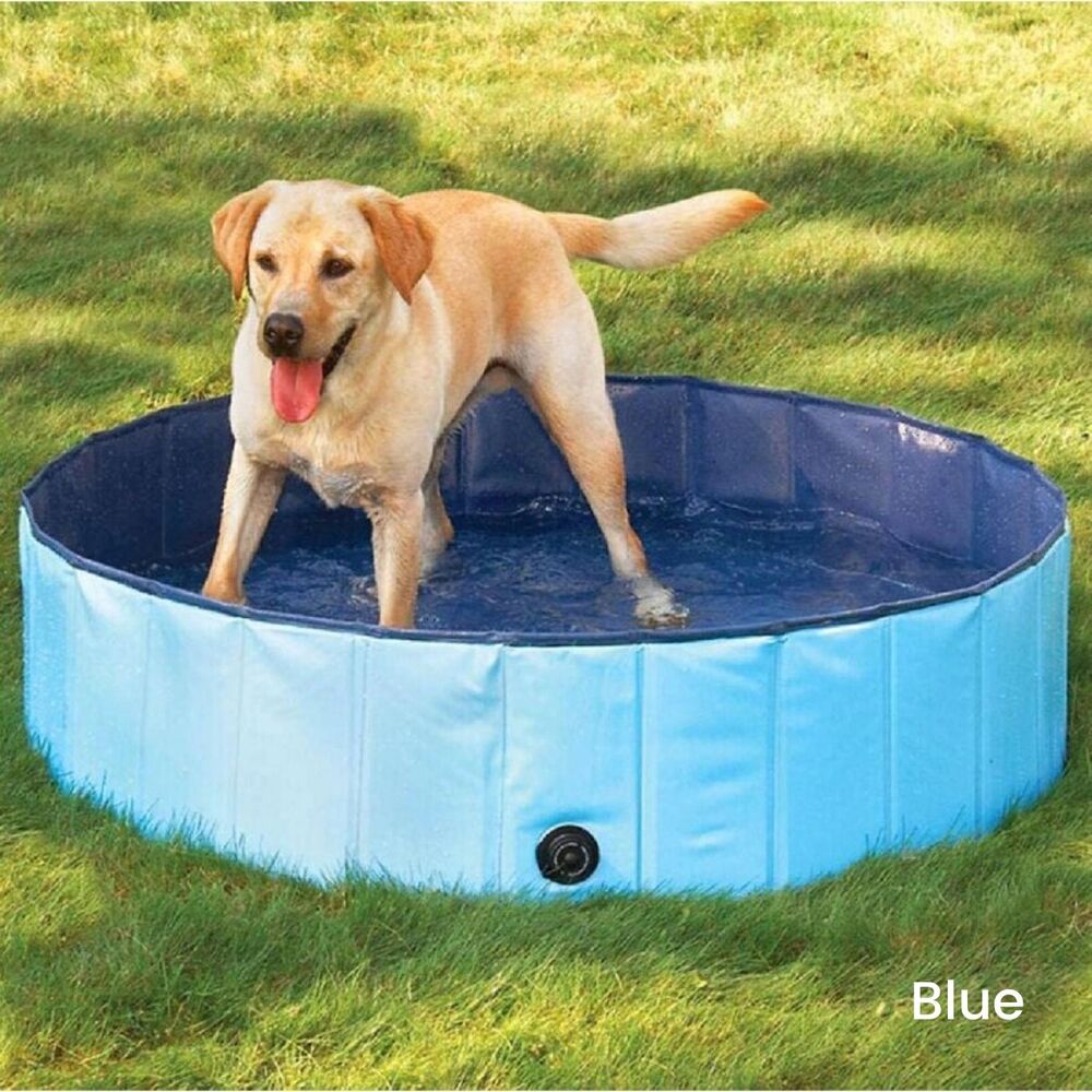 Pet Pool 160cm*30cm Blue