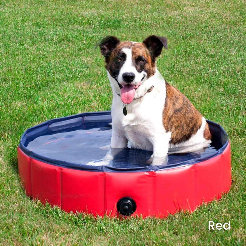 Pet Pool 160cm*30cm Red