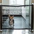 Pet Safety Barrier