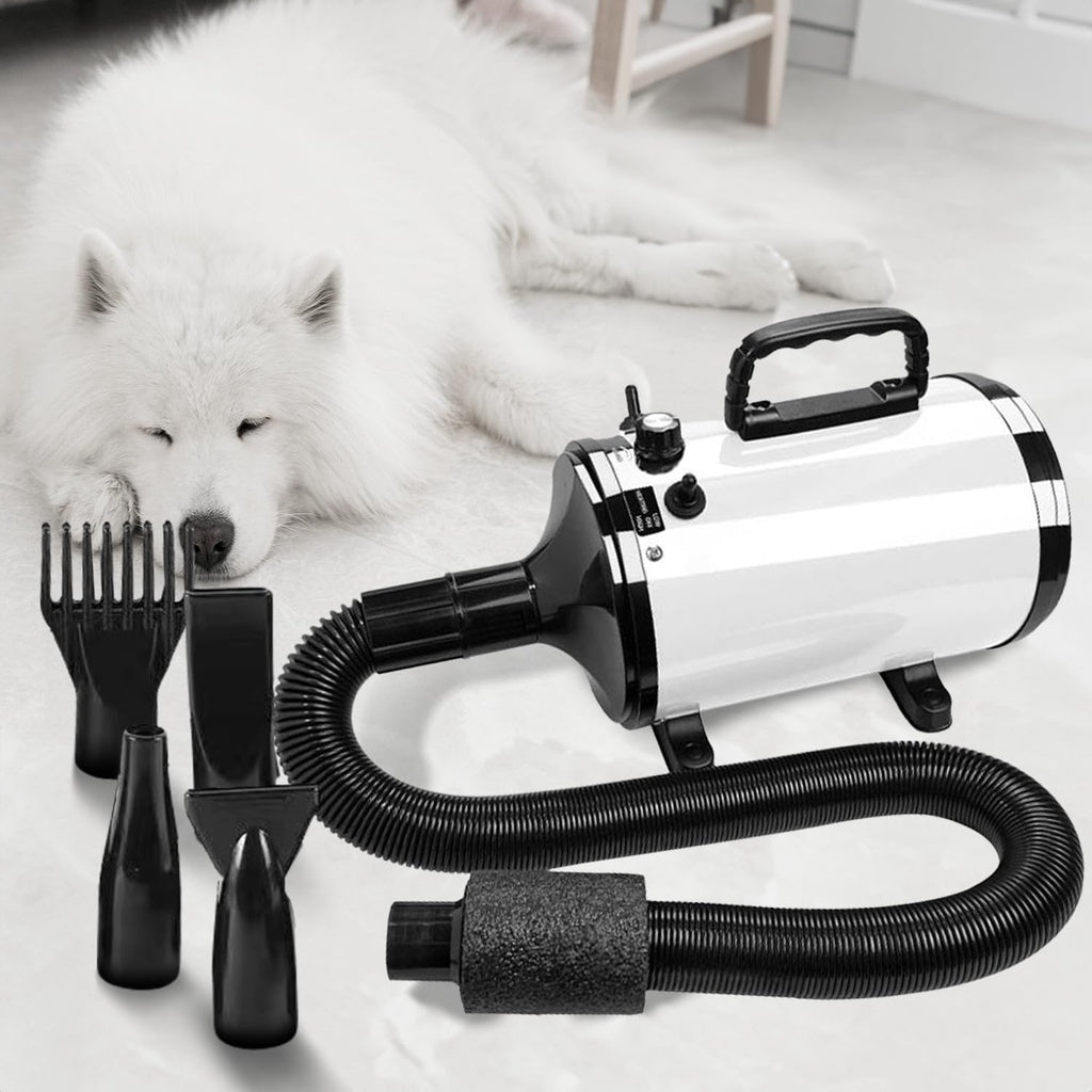 Pet Hair Dryer Advance White