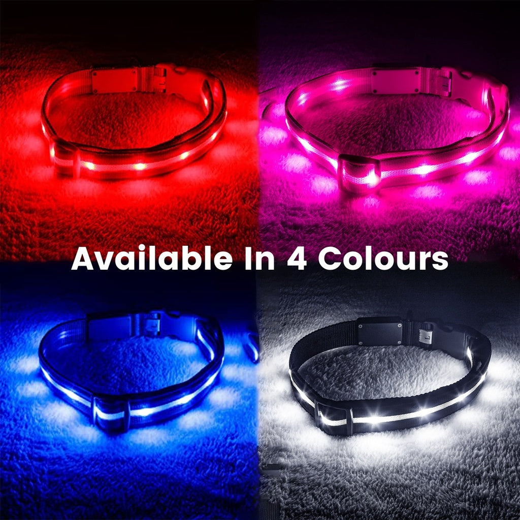 LED Dog Collar (S Blue)