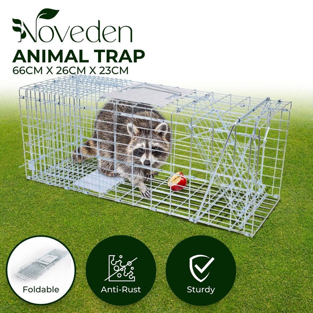 Animal Trap