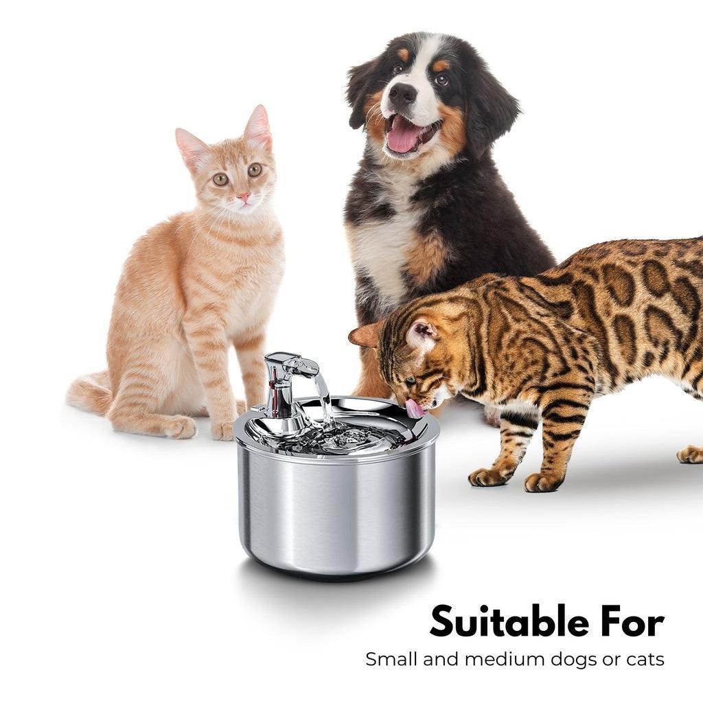 2L Stainless Steel Pet Water Fountain for Cats and Small Dogs