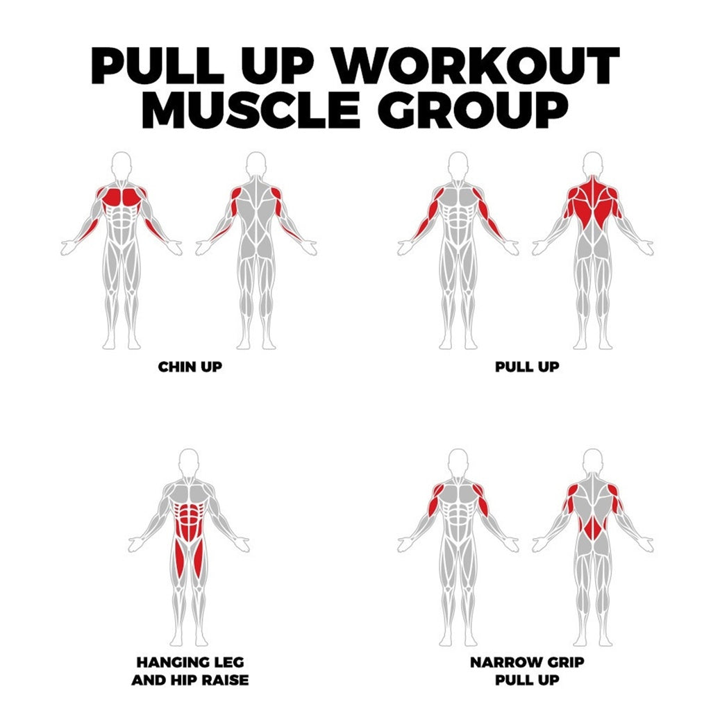 Pull Up Bar - Multi-Grip