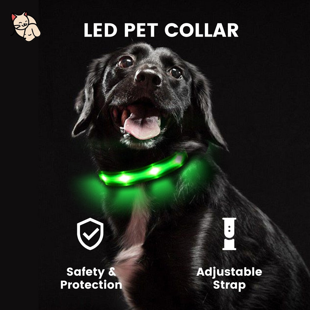 LED Dog Collar (S Black)