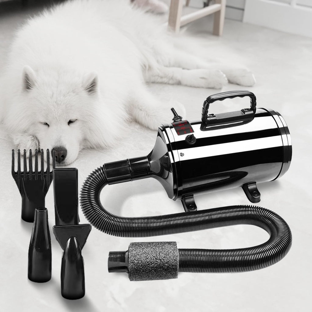 Pet Hair Dryer Basic Black