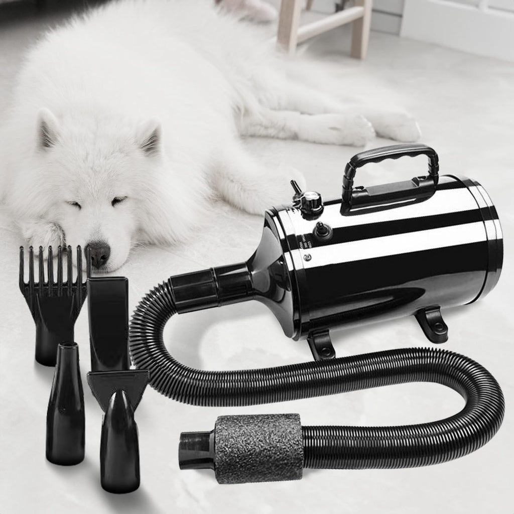 Pet Hair Dryer Advance Black