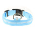 LED Dog Collar (S Blue)