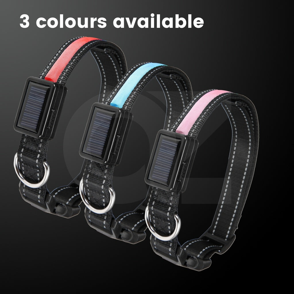 Solar USB Rechargable LED Dog Collar (L Pink)