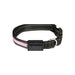 Solar USB Rechargable LED Dog Collar (L Pink)