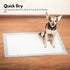 Pet Toilet Training Pads 60x60cm 50pcs