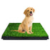 Indoor Dog Toilet Tray for Potty Training