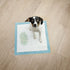 Pet Toilet Training Pads 60x60cm 50pcs