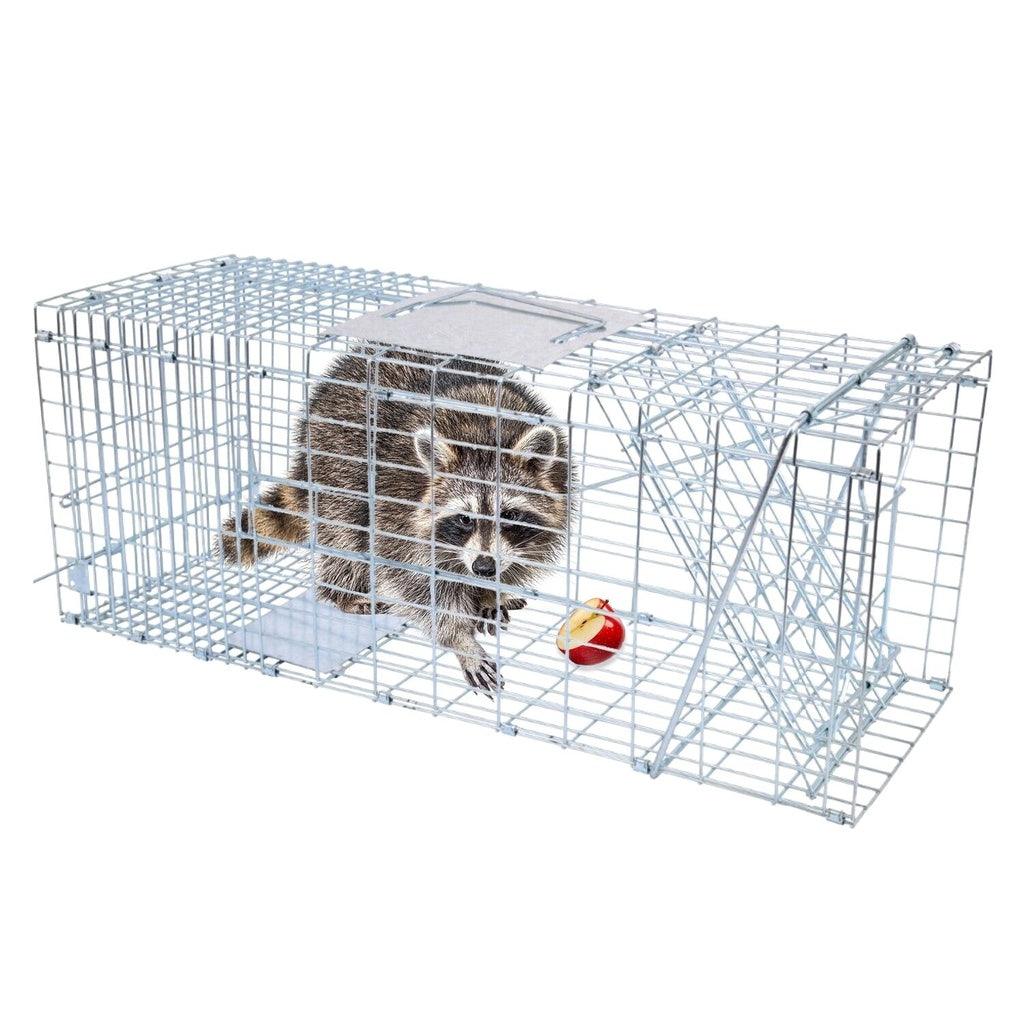 Animal Trap