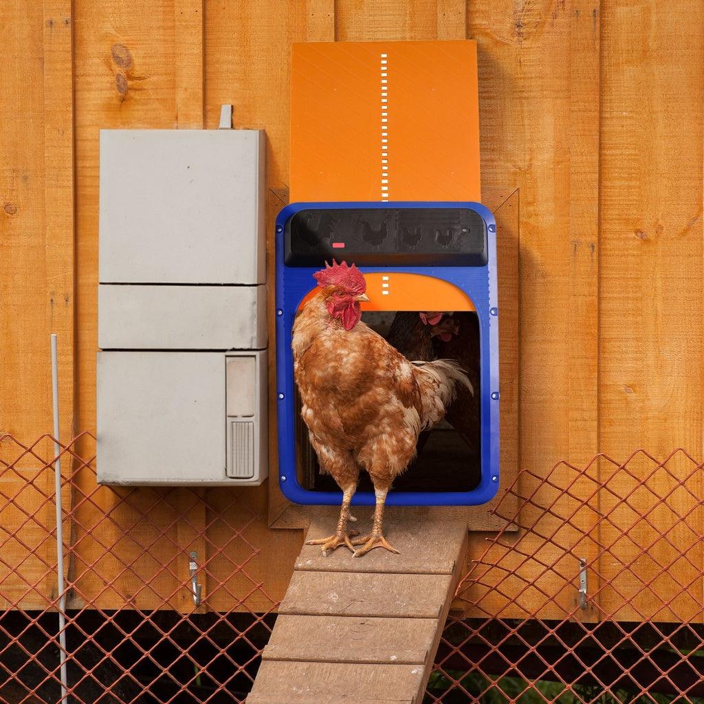 Automatic Chicken House Coop Door Opener with Light Sensor Chicken Coop