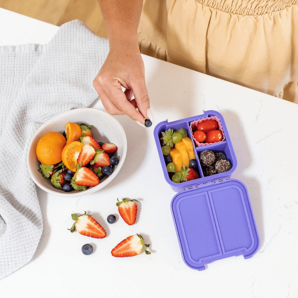 Little Lunch Box Co Bento Two Blueberry