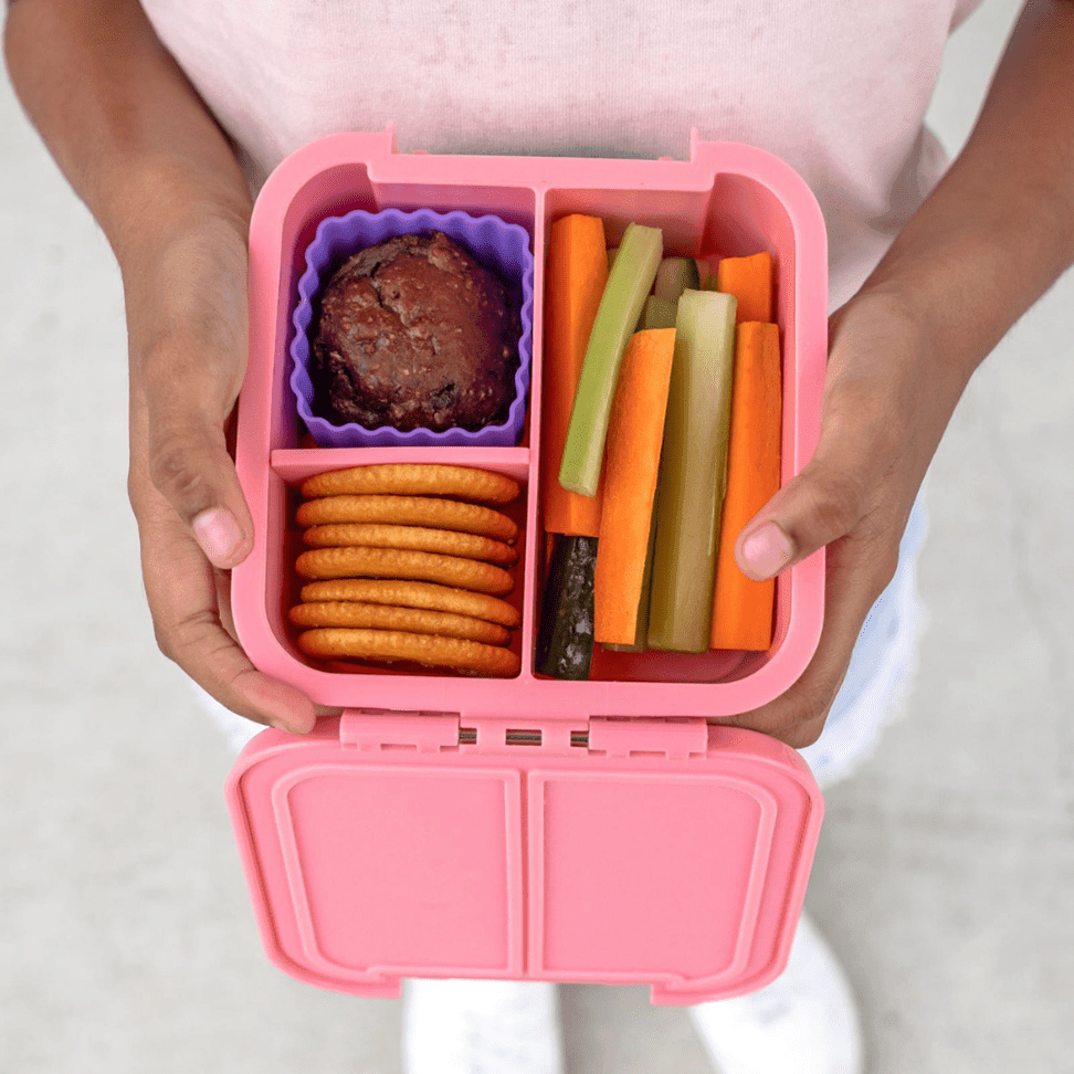 Little Lunch Box Co Bento Two Blueberry