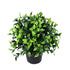Artificial Jasmine Plant 20cm – UV Resistant Potted Flower, Indoor/Outdoor