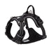 True Love No Pull Explosion Proof Dog Harness - Black, L