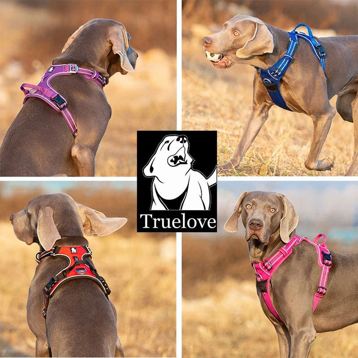 True Love No Pull Explosion Proof Dog Harness - Blue, L