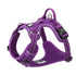 True Love No Pull Explosion Proof Dog Harness - Purple, M