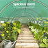 Greenhouse Walk in Green House Tunnel Plant Garden Shed Dome 9x3x2M